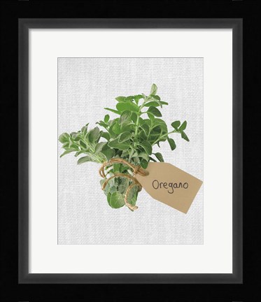 Framed Oregano Print