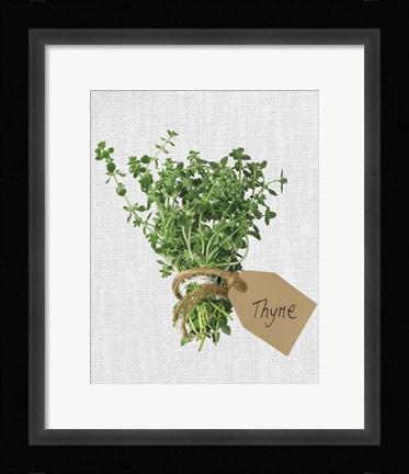 Framed Thyme Print