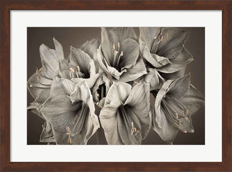 Framed Grand Floral Print