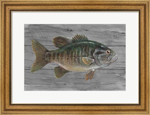 Framed Clear Water Beauty Print