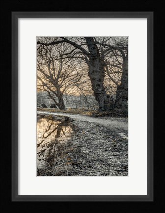 Framed Frosty Morning III Print