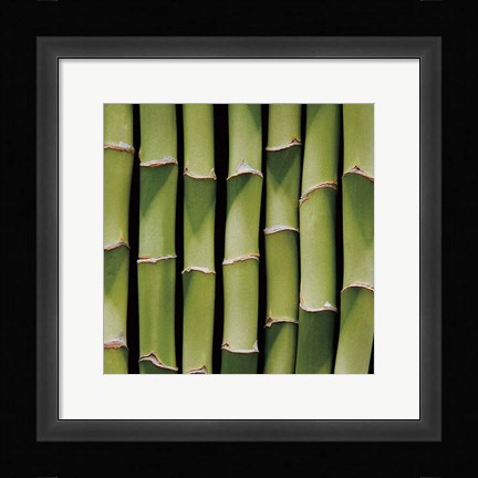 Framed Bamboo Lengths Print