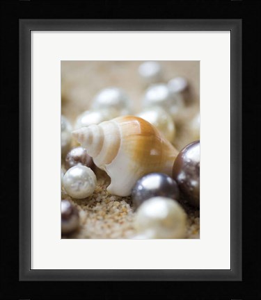 Framed Sea Jewels I Print