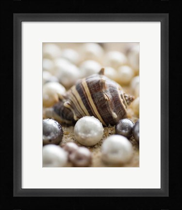Framed Sea Jewels II Print