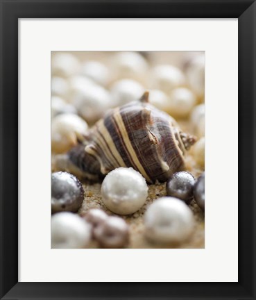 Framed Sea Jewels II Print