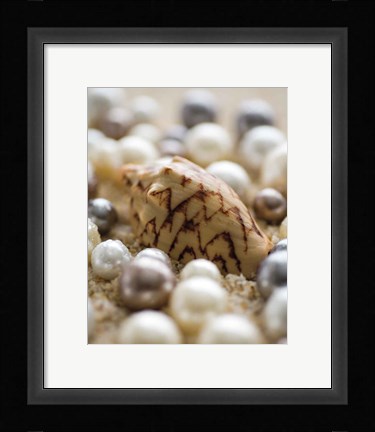 Framed Sea Jewels IV Print