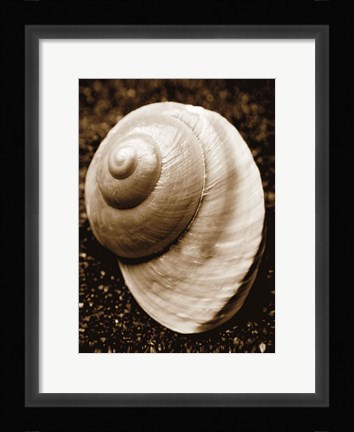 Framed Sea Gallery II Print