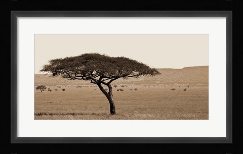 Framed Serengeti Horizons I Print