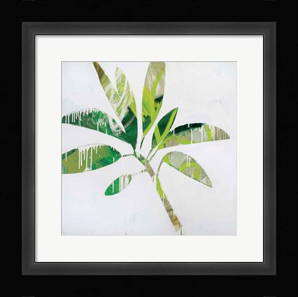 Framed Tropical Landscape IV Print