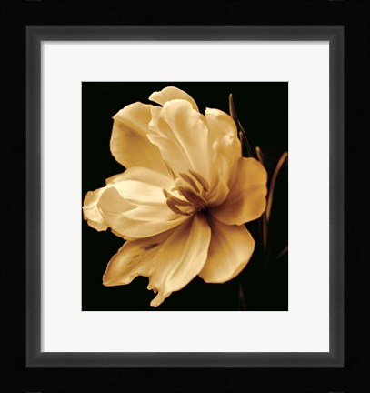 Framed Timeless Grace III Print