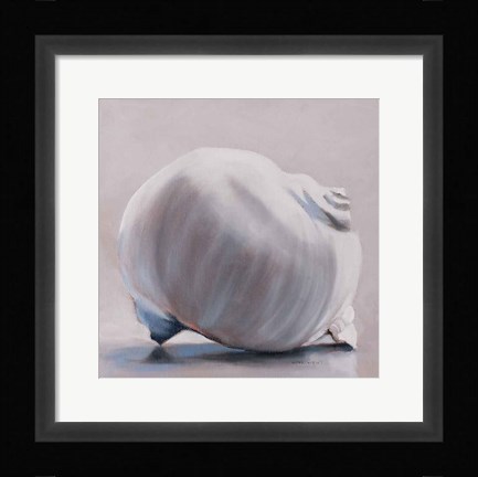 Framed Moon Snail Print