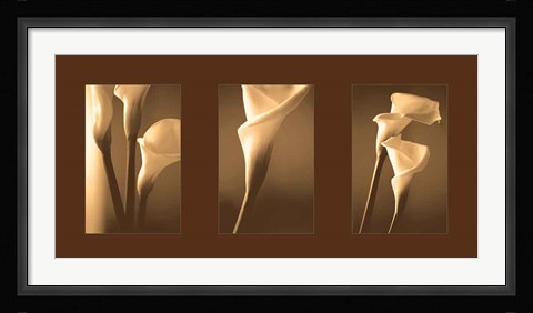 Framed Enlightenment Print