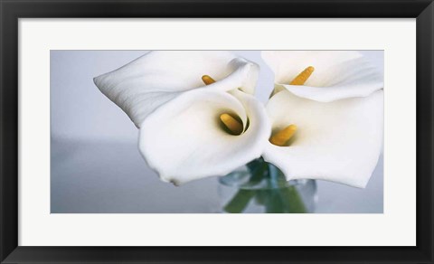 Framed Springplicity II Print