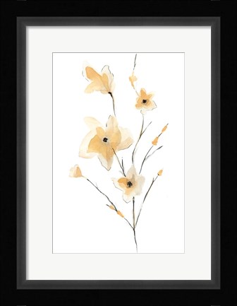 Framed Morning Glory II Print