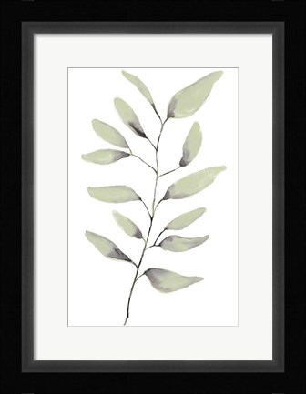 Framed Lulu II Print