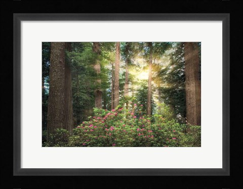 Framed Rise 'n' Shine Print