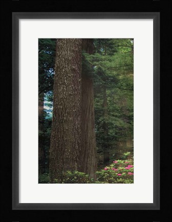 Framed Rise 'n' Shine I Print