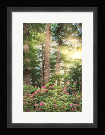 Framed Rise 'n' Shine II Print