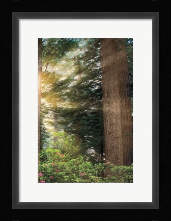 Framed Rise 'n' Shine III Print