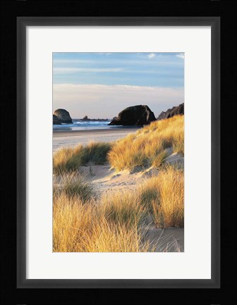 Framed Dune Grass And Beach II Print