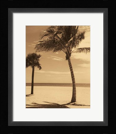 Framed Palm Beach I Print