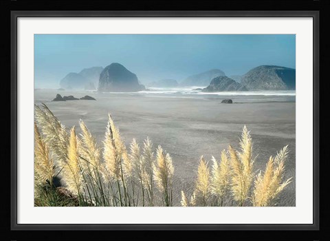 Framed Pampas Beach Print