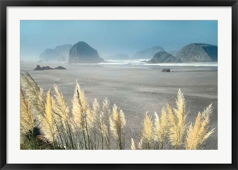 Framed Pampas Beach Print