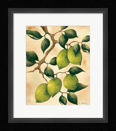 Framed Italian Harvest - Limes Print