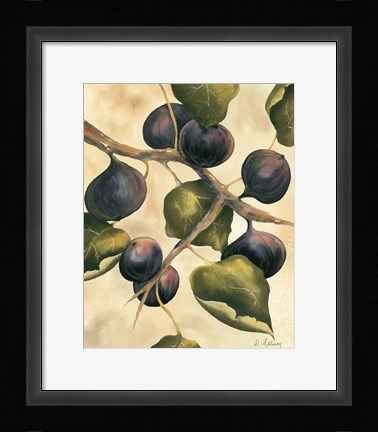 Framed Italian Harvest - Figs Print
