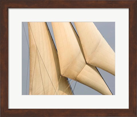 Framed Windward I Print