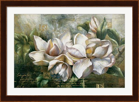 Framed Dawning Magnolias Print