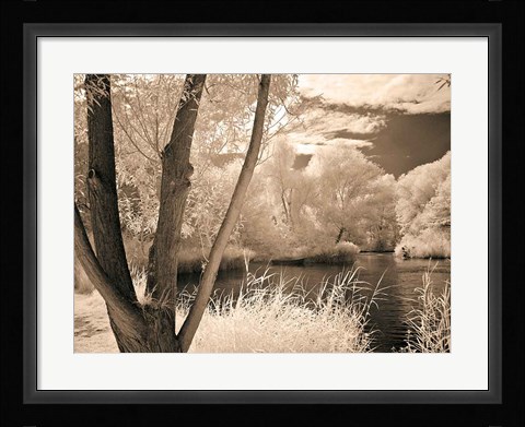 Framed Lakefront View I Print