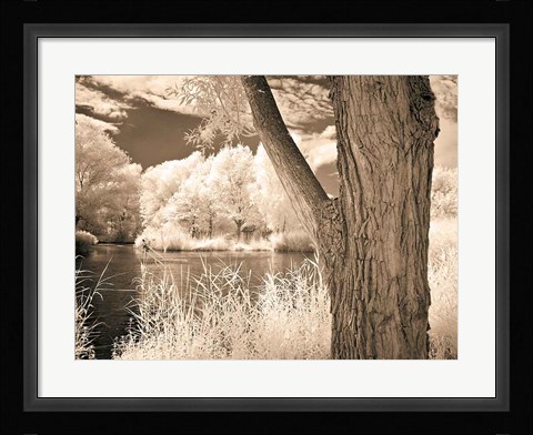 Framed Lakefront View II Print