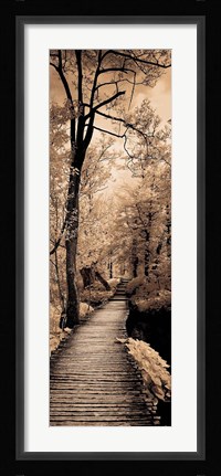 Framed Quiet Stroll I Print