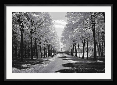 Framed Sublime Print