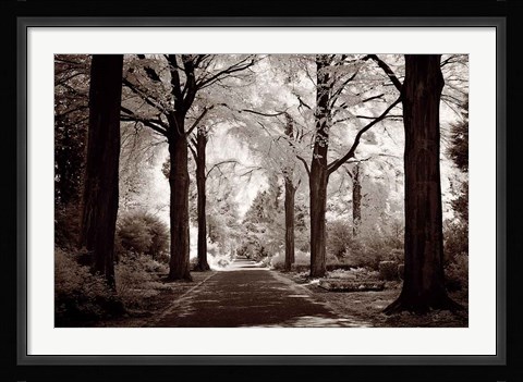 Framed Arcadia Print