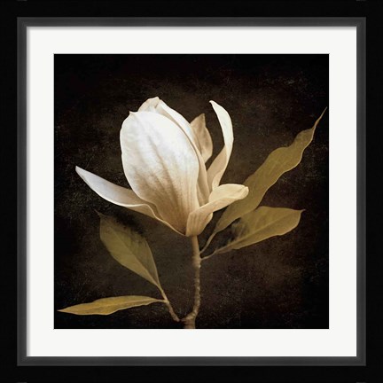 Framed Grandeur Print