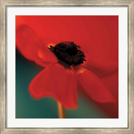 Framed Red on Turquoise Print