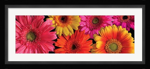 Framed Simply Spring Print