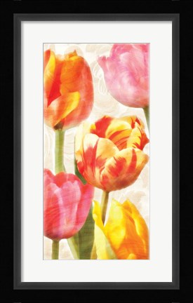 Framed Glowing Tulips II Print