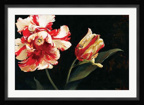 Framed Resplendent Print