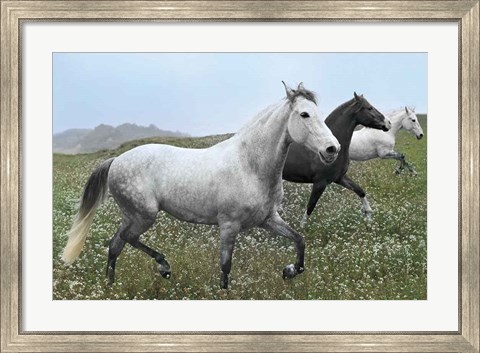 Framed Perfect Pasture Print
