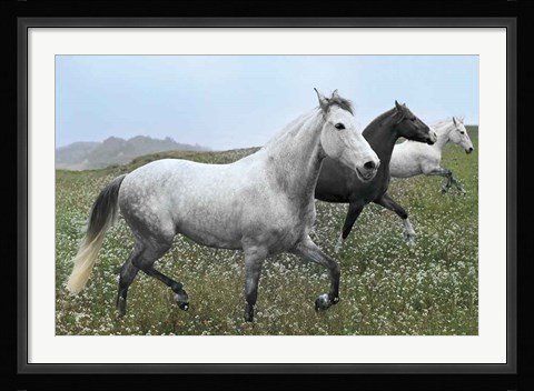 Framed Perfect Pasture Print