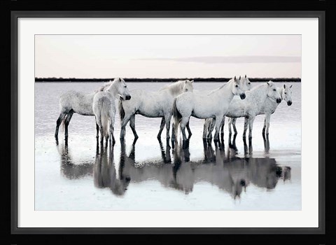 Framed Calm Waters Print