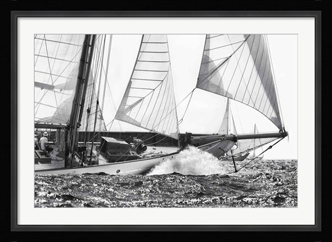 Framed Free Sailing Print