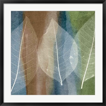 Framed Leaf Structure II Print