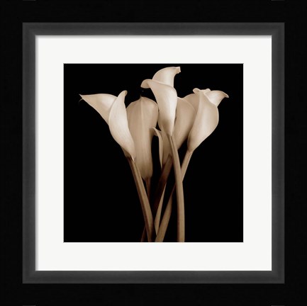 Framed Gathering - close up Print