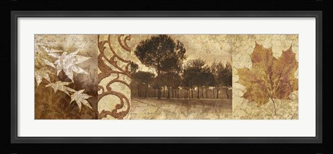 Framed Equinox I Print