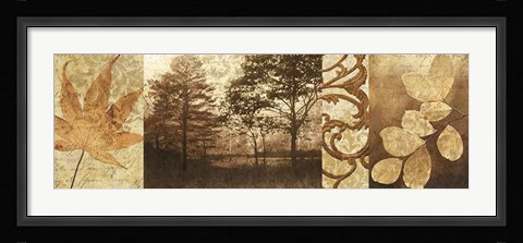 Framed Equinox II Print