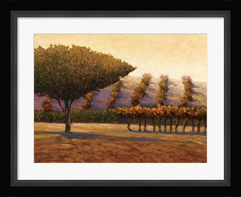 Framed Eysines Print